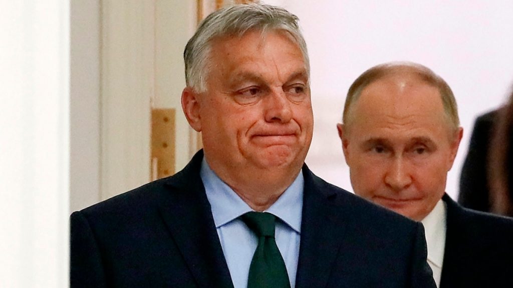 01000000 0aff 0242 21cd 08dc9dc3879a w1200 r1