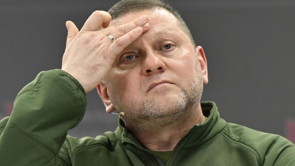 01000000 0aff 0242 c96e 08dc242b3f65 cx12 cy7 cw72 w1200 r1