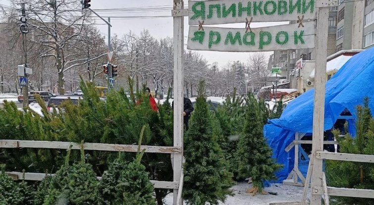 Штрафи за продаж та придбання незаконно зрублених новорічних ялинок