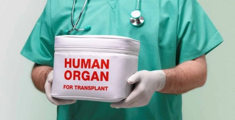 ВРУ прийняла закон, який удосконалює систему трансплантації
