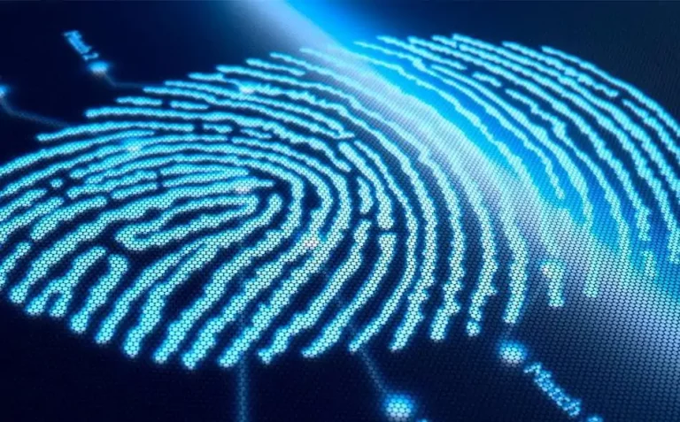 Біометрична ідентифікація загиблих