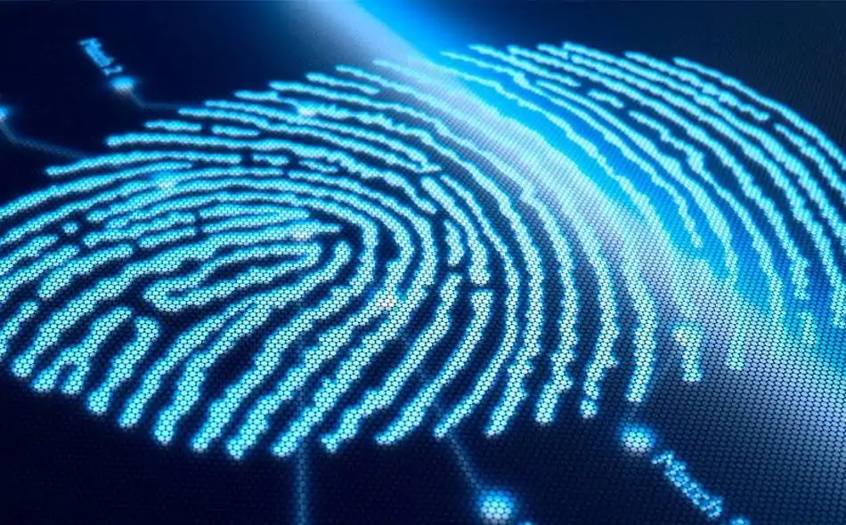 Біометрична ідентифікація загиблих