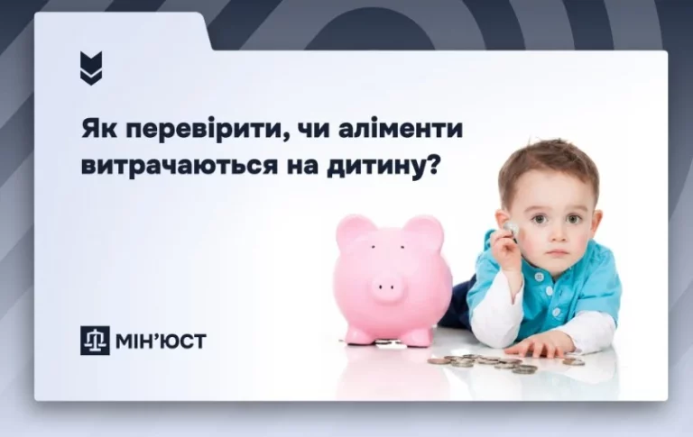 Як перевірити цільове використання аліментів: роз’яснення Мін’юсту